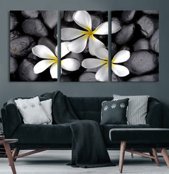 Plumeria Frangipani Black Stone Canvas | White Flower Spa