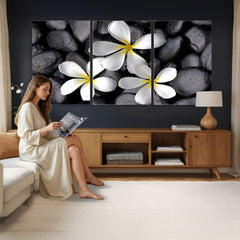 Plumeria Frangipani Black Stone Canvas | White Flower Spa