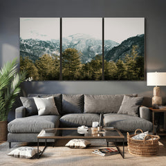Mountain Forest Wall Art Canvas Print, Alpine Landscape