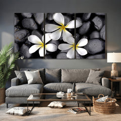 Plumeria Frangipani Black Stone Canvas | White Flower Spa