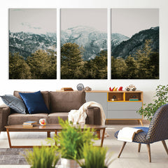 Mountain Forest Wall Art Canvas Print, Alpine Landscape
