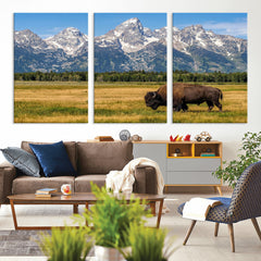 Bison in Mountain Landscape Wall Art Canvas Print – Western