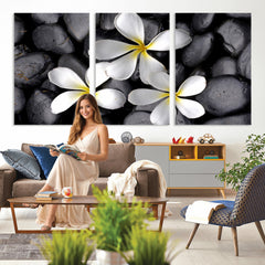 Plumeria Frangipani Black Stone Canvas | White Flower Spa