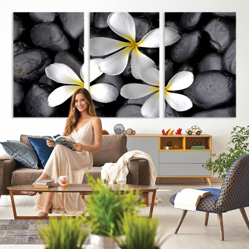 Plumeria Frangipani Black Stone Canvas | White Flower Spa