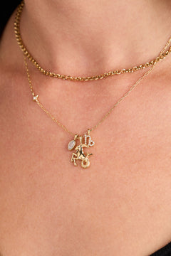 Capricorn Zodiac Charm Cluster Necklace