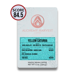 Yellow Caturra - Washed