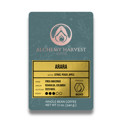Arara - Washed
