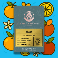 Arara - Washed