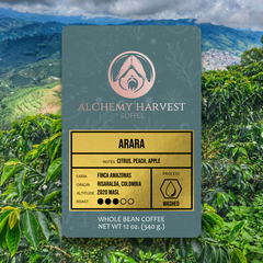 Arara - Washed