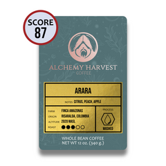 Arara - Washed