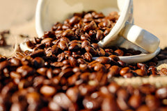 Birthplace Java - Premium Light Roast Organic Coffee