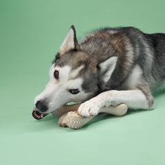 BetterBone MODERATE Durability CHEW TOY: Perfect Chew for Everyday Chewers | Naturally Derived Ingredients, Eco-Friendly, Non-Toxic