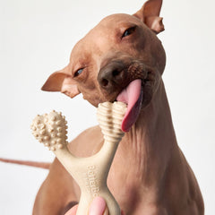 BetterBone MODERATE Durability CHEW TOY: Perfect Chew for Everyday Chewers | Naturally Derived Ingredients, Eco-Friendly, Non-Toxic