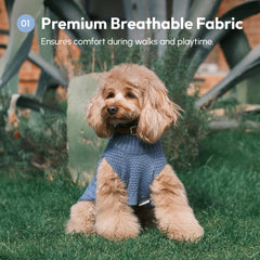 Pet Sweater Vest - Ice Blue