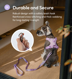 PADDED  ACTIVE  PET LEASH  - MINT PURPLE