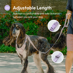 PADDED  ACTIVE  PET LEASH  - MINT PURPLE