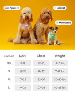 NO PULL ACTIVE  PET HARNESS - MINT GREEN