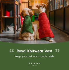 Pet Sweater Vest - Green