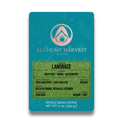Landrace - Washed