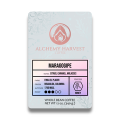 Maragogipe - Honey