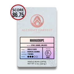 Maragogipe - Honey
