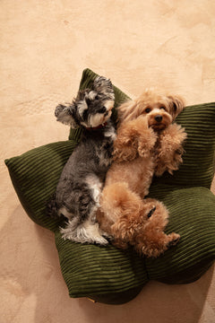 OULU X PEHOM - CUDDLE PET PILLOW BED- Navy Blue / Olive Green / Canyon Brown