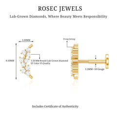 Natural Round Diamond Cluster Curved Helix Earring