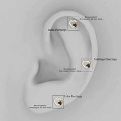 Sparkling Diamond Dog Paw Heart Earring with Black Enamel