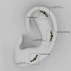 Graduated Style Black Onyx Crawler Earring
