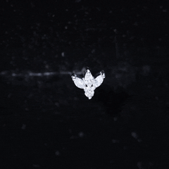 Marquise Shape Diamond Leaf Earring for Helix Piercing