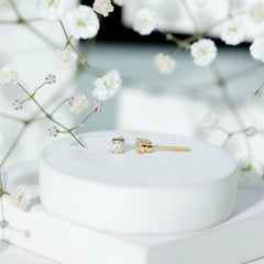 Brilliant Cut Diamond Stud Earrings in Prong Setting