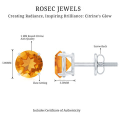 1 CT Round Cut Citrine Solitaire Stud Earrings with Certificate