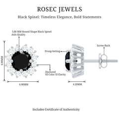 Natural Black Spinel Diamond Stud Earrings with Screw Back