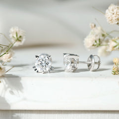 Dainty Round Shape Moissanite Cat Stud Earrings