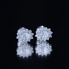 Certified Oval Shaped Moissanite Halo Stud Earrings in Silver