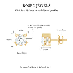 1 CT Solitaire Moissanite Cat Stud Earrings with Screw Back