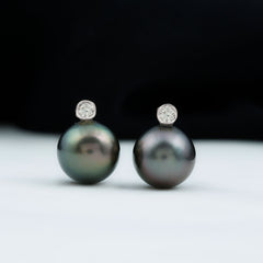 Genuine Black Pearl Stud Earrings For Women