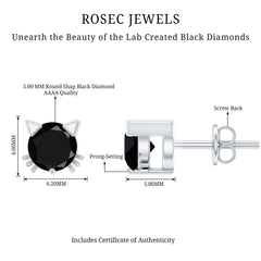 5MM Round Lab Created Black Diamond Cat Stud Earrings