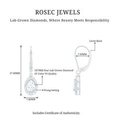 Lab Grown Diamond Drop Dangle Earrings With Lever Back