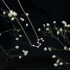 Moissanite Constellation Leo Zodiac Sign Necklace