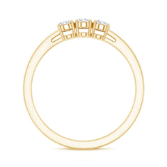 Lab Grown Oval Diamond 3 Stone Engagement Ring