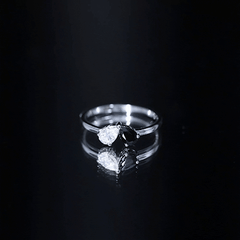 Lab Created Black and White Diamond 2 Stone Ring