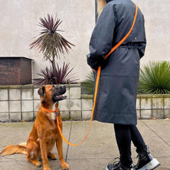 Tilley + Me PVC Dog Collar - All Weather Waterproof Durable & Odor-Resistant