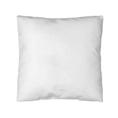 Personalized Indoor/Outdoor Pillow