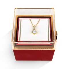 Alluring Beauty Necklace & Gift Box