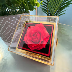 Forever Love Necklace & Gift Box