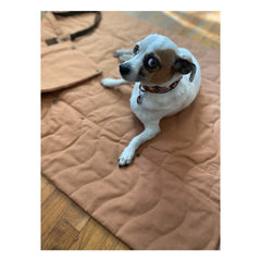 Trekk Convertible Travel Mat - Portable Canvas Bed for Dogs & Humans | Camping, Concerts, Picnics