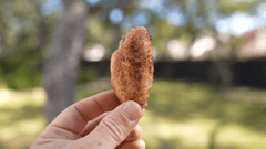 Dill Pickle Rub