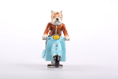 Dog on Vespa