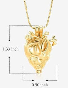Silver Anatomical Heart Cremation Urn Necklace